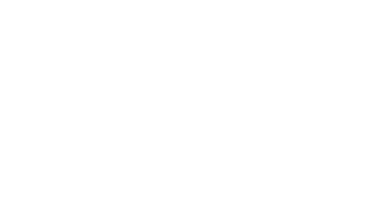 Netsurion Logo